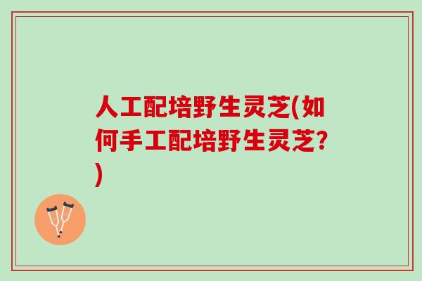 人工配培野生灵芝(如何手工配培野生灵芝？)