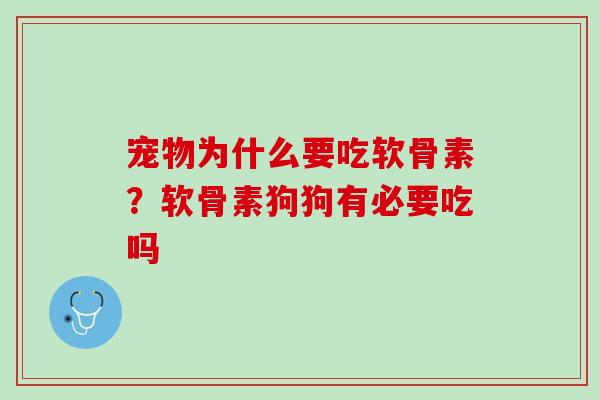 宠物为什么要吃软骨素？软骨素狗狗有必要吃吗