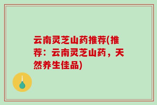 云南灵芝山药推荐(推荐：云南灵芝山药，天然养生佳品)