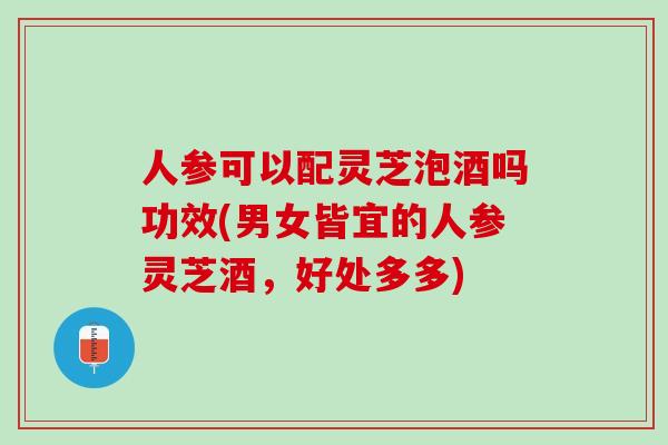 人参可以配灵芝泡酒吗功效(男女皆宜的人参灵芝酒，好处多多)
