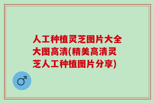 人工种植灵芝图片大全大图高清(精美高清灵芝人工种植图片分享)