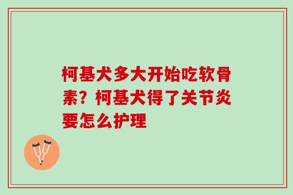 柯基犬多大开始吃软骨素?柯基犬得了要怎么护理 柯基犬多大开始吃软骨素?柯基犬得了要怎么护理