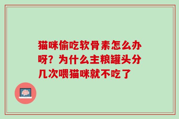 猫咪偷吃软骨素怎么办呀？为什么主粮罐头分几次喂猫咪就不吃了