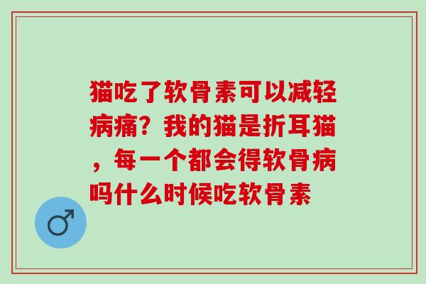 猫吃了软骨素可以减轻病痛？我的猫是折耳猫，每一个都会得软骨病吗什么时候吃软骨素