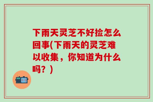 下雨天灵芝不好捡怎么回事(下雨天的灵芝难以收集，你知道为什么吗？)