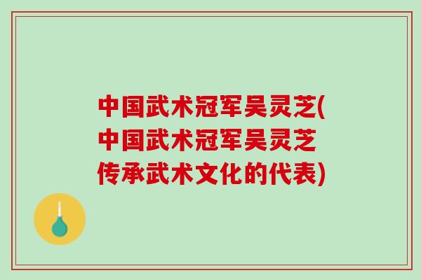 中国武术冠军吴灵芝(中国武术冠军吴灵芝 传承武术文化的代表)
