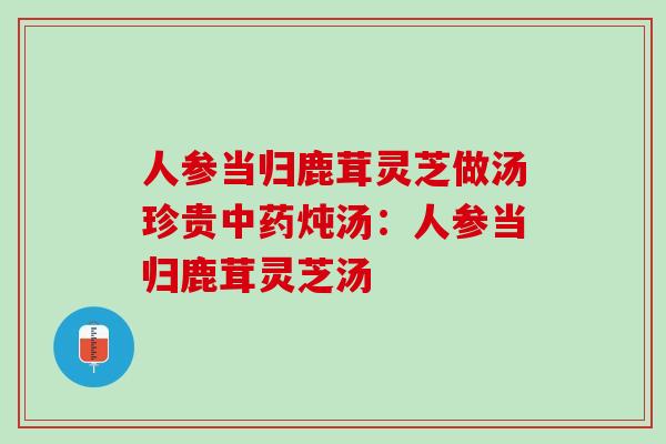 人参当归鹿茸灵芝做汤珍贵中药炖汤：人参当归鹿茸灵芝汤