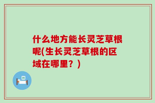 什么地方能长灵芝草根呢(生长灵芝草根的区域在哪里？)