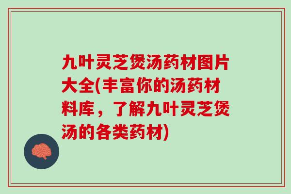 九叶灵芝煲汤药材图片大全(丰富你的汤药材料库，了解九叶灵芝煲汤的各类药材)