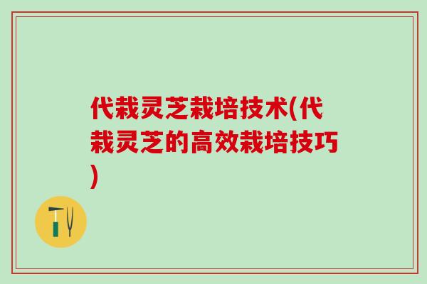 代栽灵芝栽培技术(代栽灵芝的高效栽培技巧)