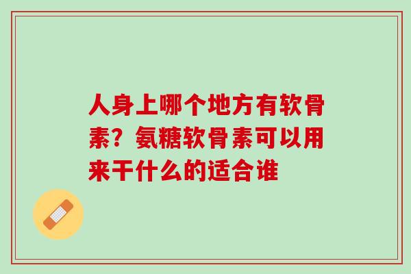 人身上哪个地方有软骨素？氨糖软骨素可以用来干什么的适合谁