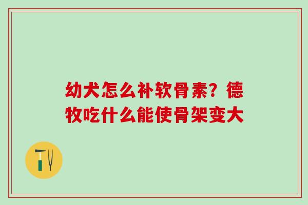 幼犬怎么补软骨素？德牧吃什么能使骨架变大