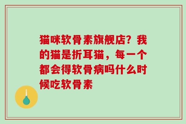 猫咪软骨素旗舰店？我的猫是折耳猫，每一个都会得软骨病吗什么时候吃软骨素