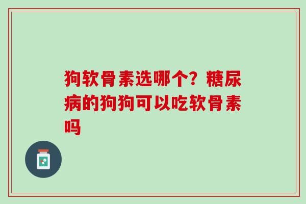 狗软骨素选哪个？糖尿病的狗狗可以吃软骨素吗