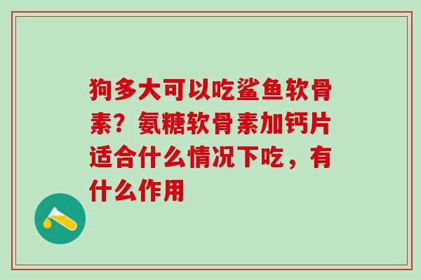 狗多大可以吃鲨鱼软骨素？氨糖软骨素加钙片适合什么情况下吃，有什么作用