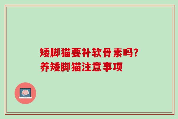 矮脚猫要补软骨素吗？养矮脚猫注意事项