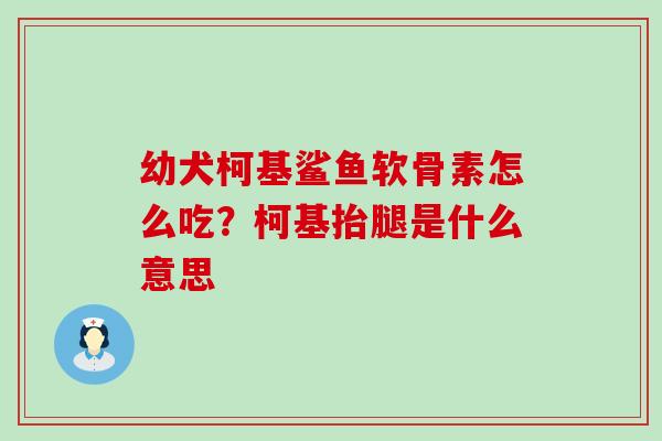 幼犬柯基鲨鱼软骨素怎么吃？柯基抬腿是什么意思