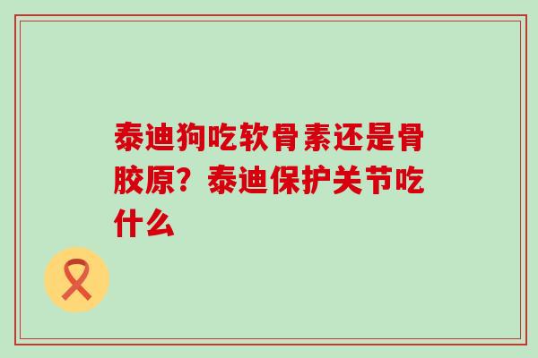 泰迪狗吃软骨素还是骨胶原？泰迪保护关节吃什么