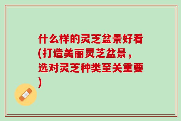 什么样的灵芝盆景好看(打造美丽灵芝盆景，选对灵芝种类至关重要)