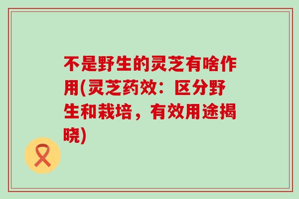 不是野生的灵芝有啥作用(灵芝药效：区分野生和栽培，有效用途揭晓)