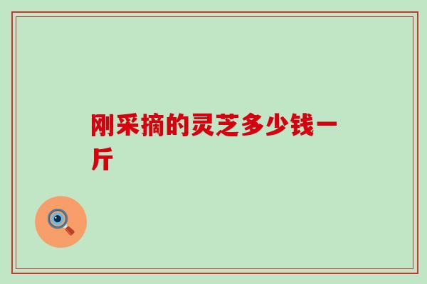 刚采摘的灵芝多少钱一斤