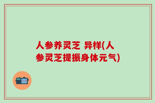 人参养灵芝 异样(人参灵芝提振身体元气)