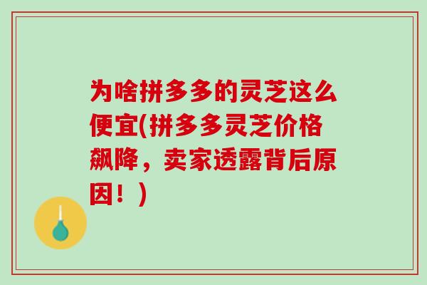 为啥拼多多的灵芝这么便宜(拼多多灵芝价格飙降，卖家透露背后原因！)