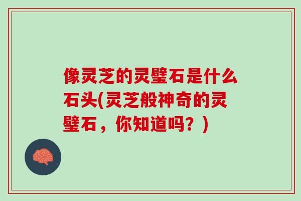 像灵芝的灵璧石是什么石头(灵芝般神奇的灵璧石，你知道吗？)