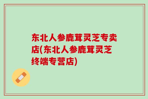 东北人参鹿茸灵芝专卖店(东北人参鹿茸灵芝终端专营店)