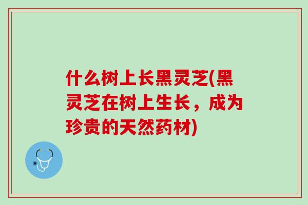 什么树上长黑灵芝(黑灵芝在树上生长，成为珍贵的天然药材)