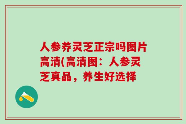 人参养灵芝正宗吗图片高清(高清图：人参灵芝真品，养生好选择