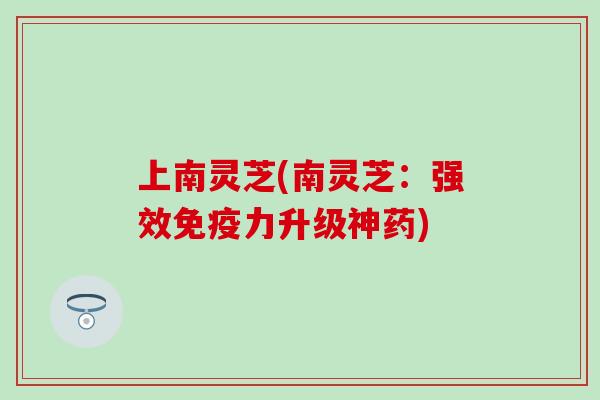 上南灵芝(南灵芝：强效免疫力升级神药)