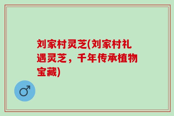 刘家村灵芝(刘家村礼遇灵芝，千年传承植物宝藏)