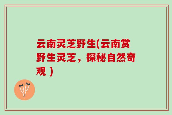 云南灵芝野生(云南赏野生灵芝，探秘自然奇观 )