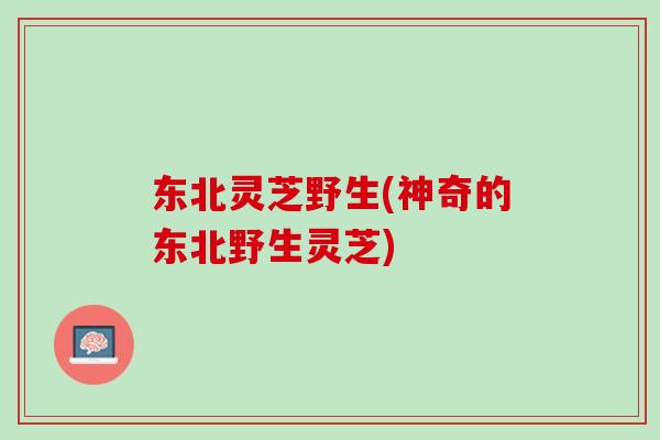 东北灵芝野生(神奇的东北野生灵芝)