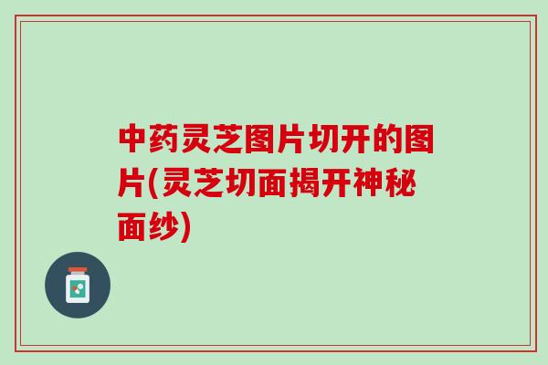 中药灵芝图片切开的图片(灵芝切面揭开神秘面纱)