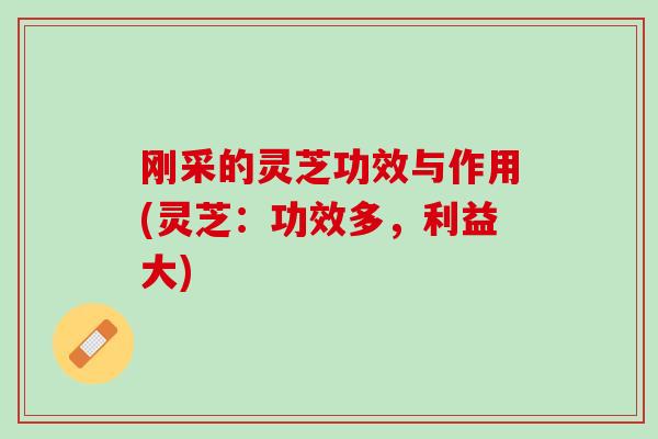 刚采的灵芝功效与作用(灵芝：功效多，利益大)