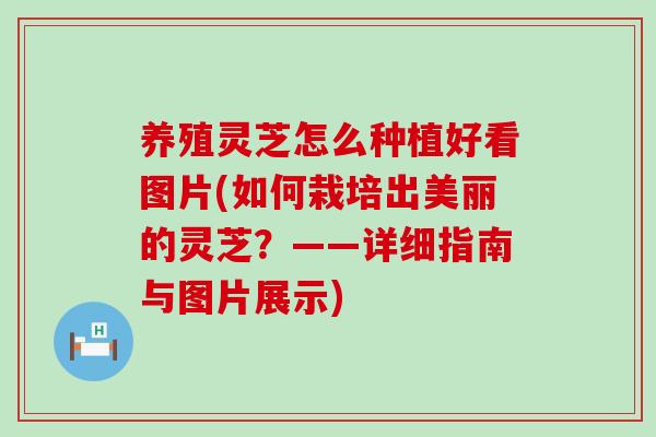 养殖灵芝怎么种植好看图片(如何栽培出美丽的灵芝？——详细指南与图片展示)