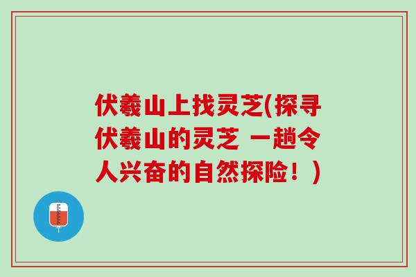 伏羲山上找灵芝(探寻伏羲山的灵芝 一趟令人兴奋的自然探险！)