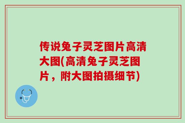 传说兔子灵芝图片高清大图(高清兔子灵芝图片，附大图拍摄细节)