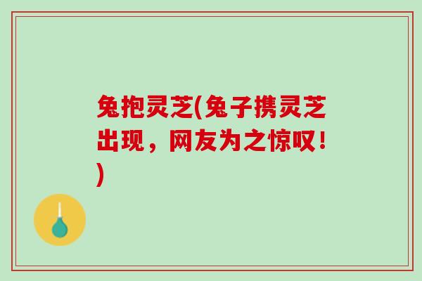 兔抱灵芝(兔子携灵芝出现，网友为之惊叹！)