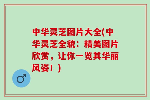中华灵芝图片大全(中华灵芝全貌：精美图片欣赏，让你一览其华丽风姿！)