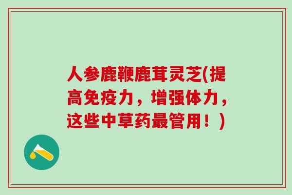 人参鹿鞭鹿茸灵芝(提高免疫力，增强体力，这些中草药最管用！)