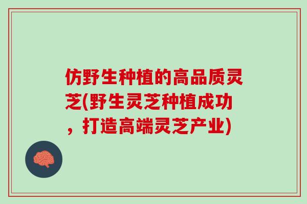 仿野生种植的高品质灵芝(野生灵芝种植成功，打造高端灵芝产业)