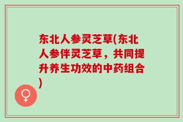 东北人参灵芝草(东北人参伴灵芝草，共同提升养生功效的中药组合)