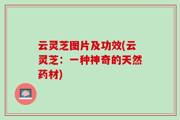 云灵芝图片及功效(云灵芝:一种神奇的天然药材) 云灵芝图片及功效(云灵芝:一种神奇的天然药材)