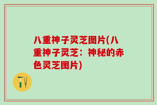 八重神子灵芝图片(八重神子灵芝：神秘的赤色灵芝图片)
