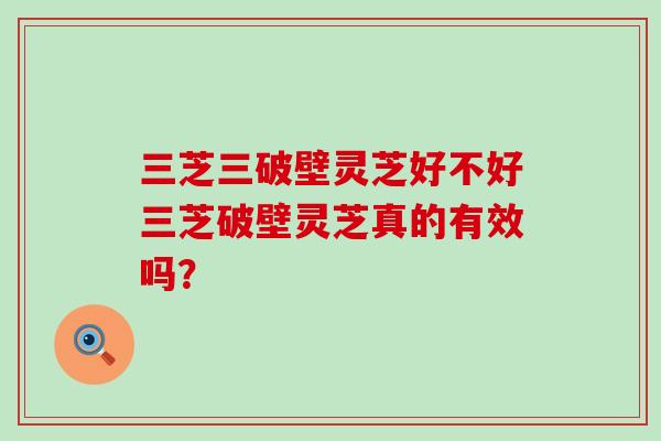 三芝三破壁灵芝好不好三芝破壁灵芝真的有效吗？