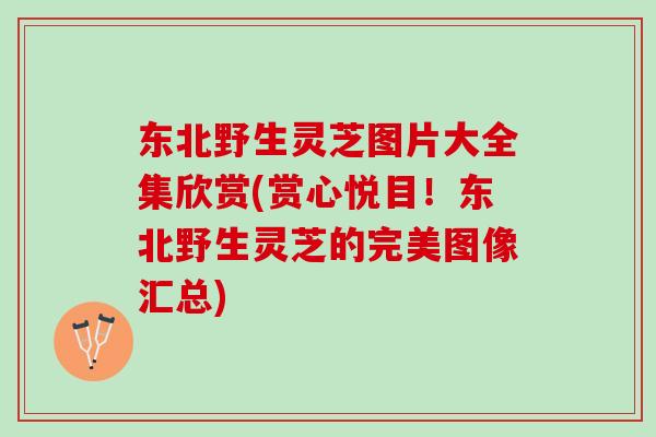 东北野生灵芝图片大全集欣赏(赏心悦目！东北野生灵芝的完美图像汇总)