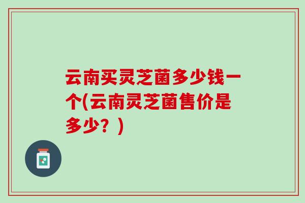 云南买灵芝菌多少钱一个(云南灵芝菌售价是多少？)